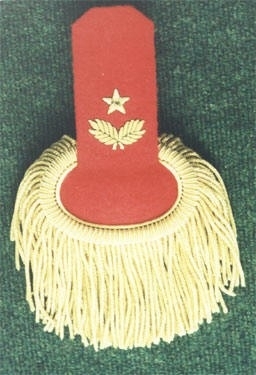 Shoulder Boards